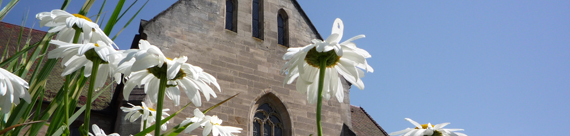 Blumen vor dem Kloster Lorch