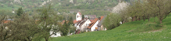 Blick auf Waldhausen